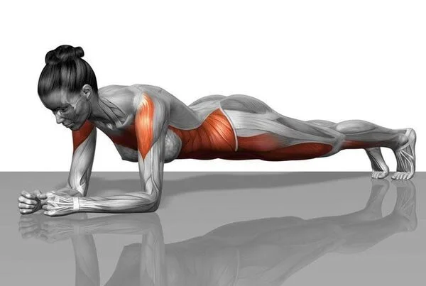 Dolphin kick workout clearance