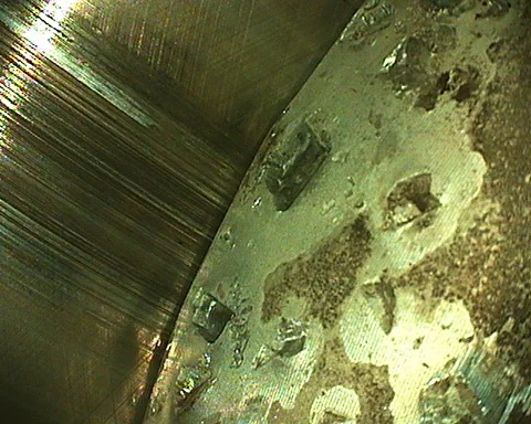 Inspection snapshot captured with an IRIS DVRx videoscope