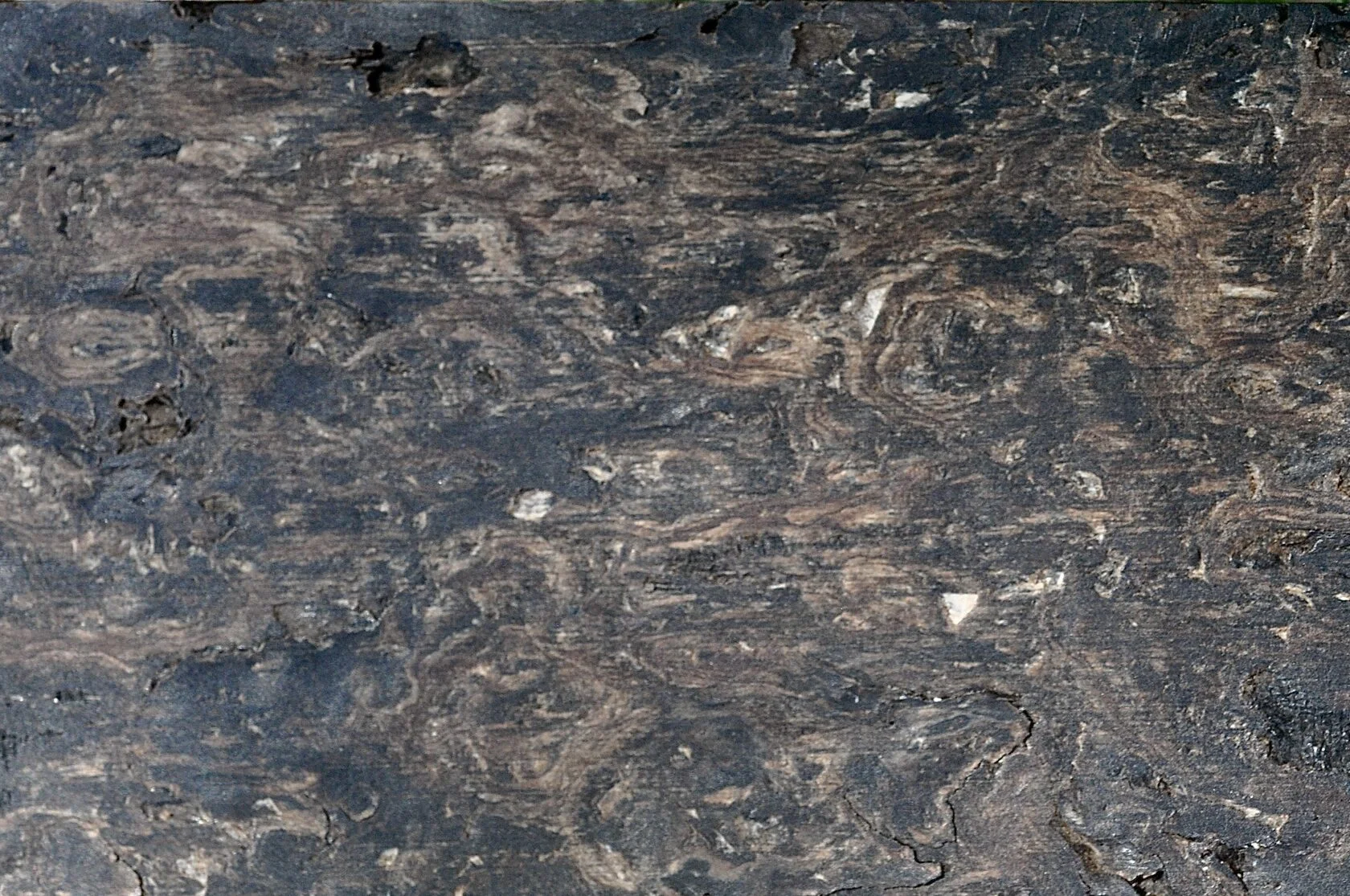 Sample C raw material