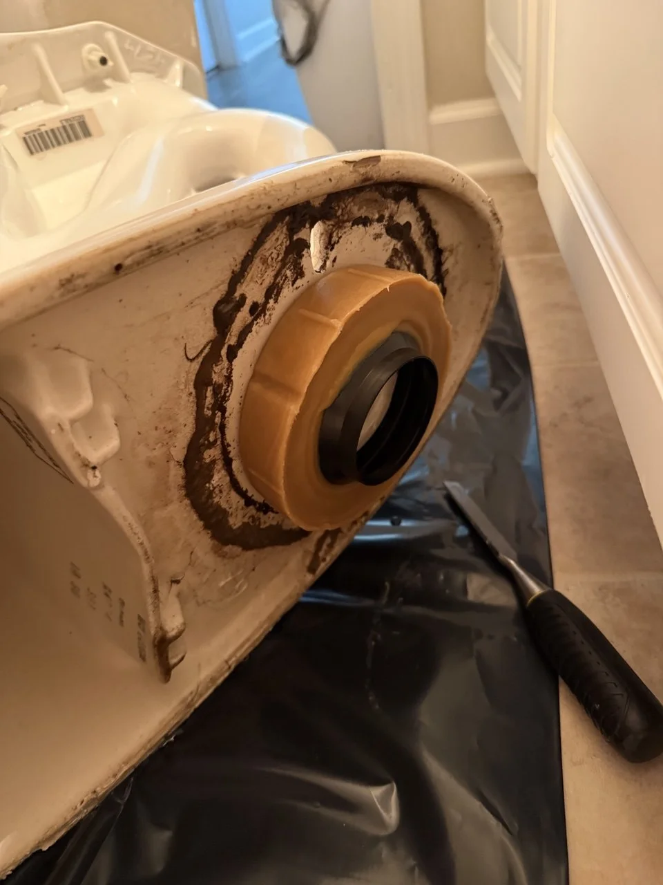 Emergency toilet leak repair in Charlotte