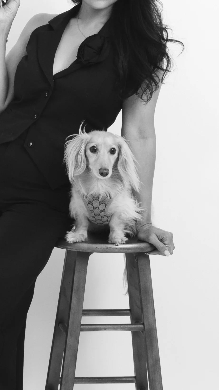 7 Pet Photoshoot Ideas | MirrorMe self-portrait photo studio