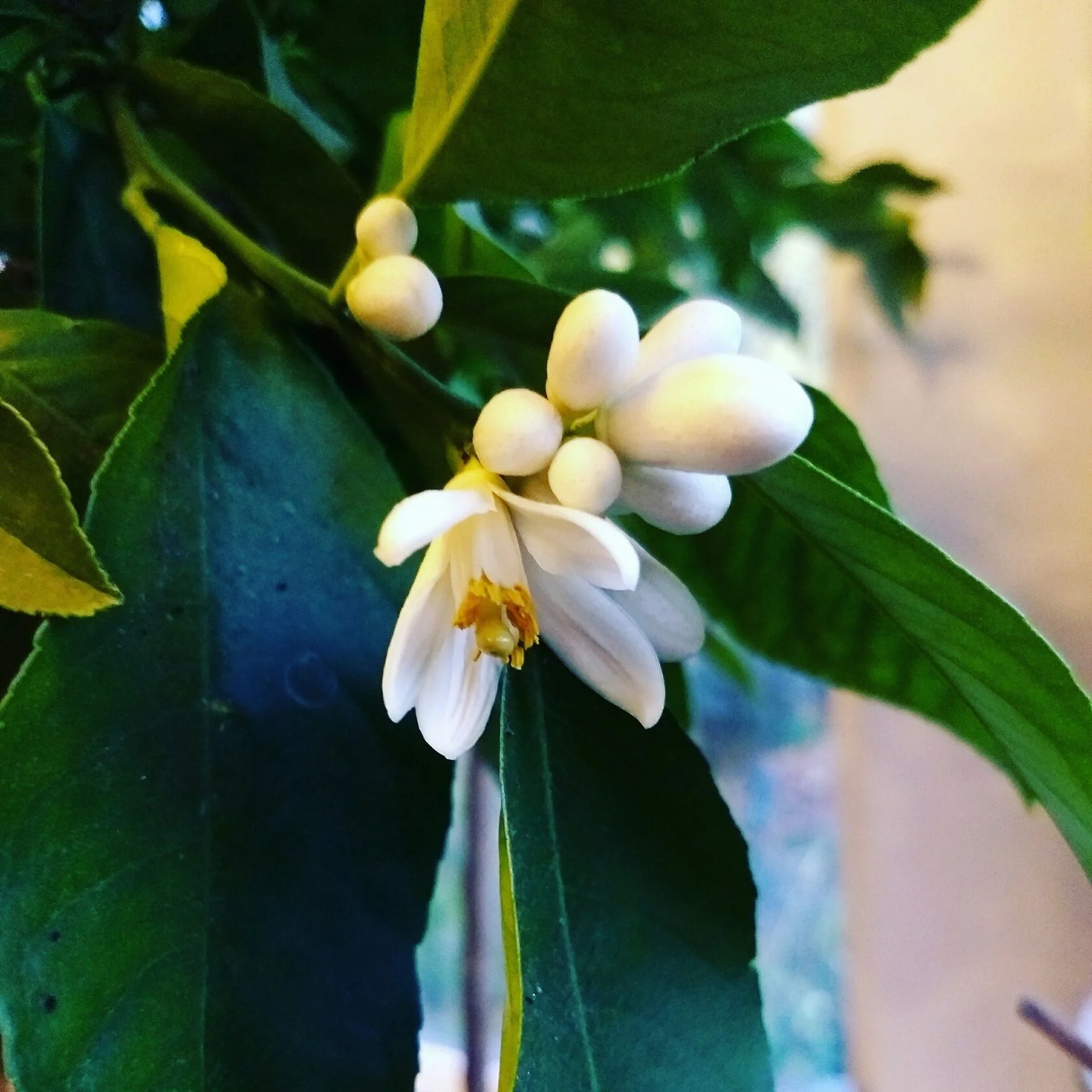 BNProject | Various Sprout Posts