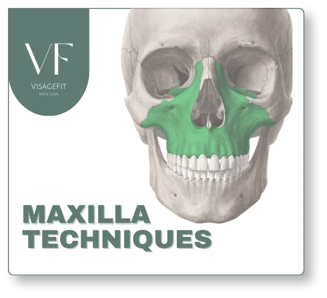 Maxilla Techniques bonus course
