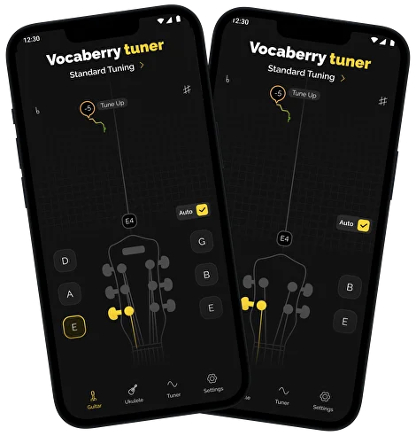 Hit the Notes with Vocaberry