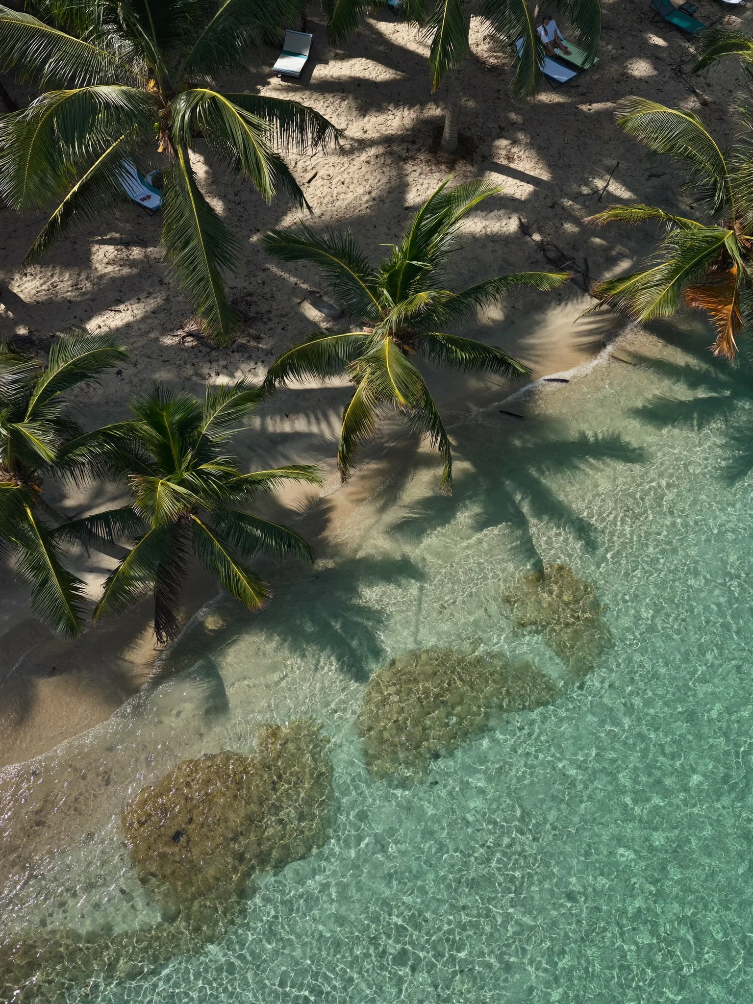 Palm trees and turquoise water in Zanzibar, seen from above