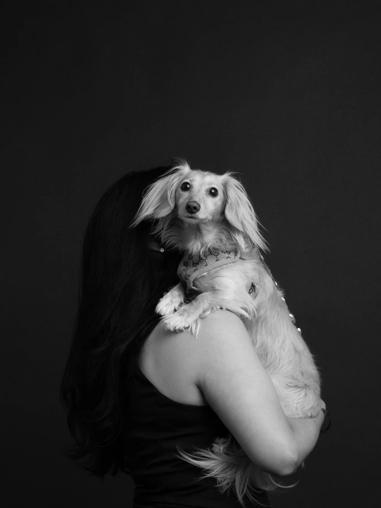 Creative pet photoshoot in private studio