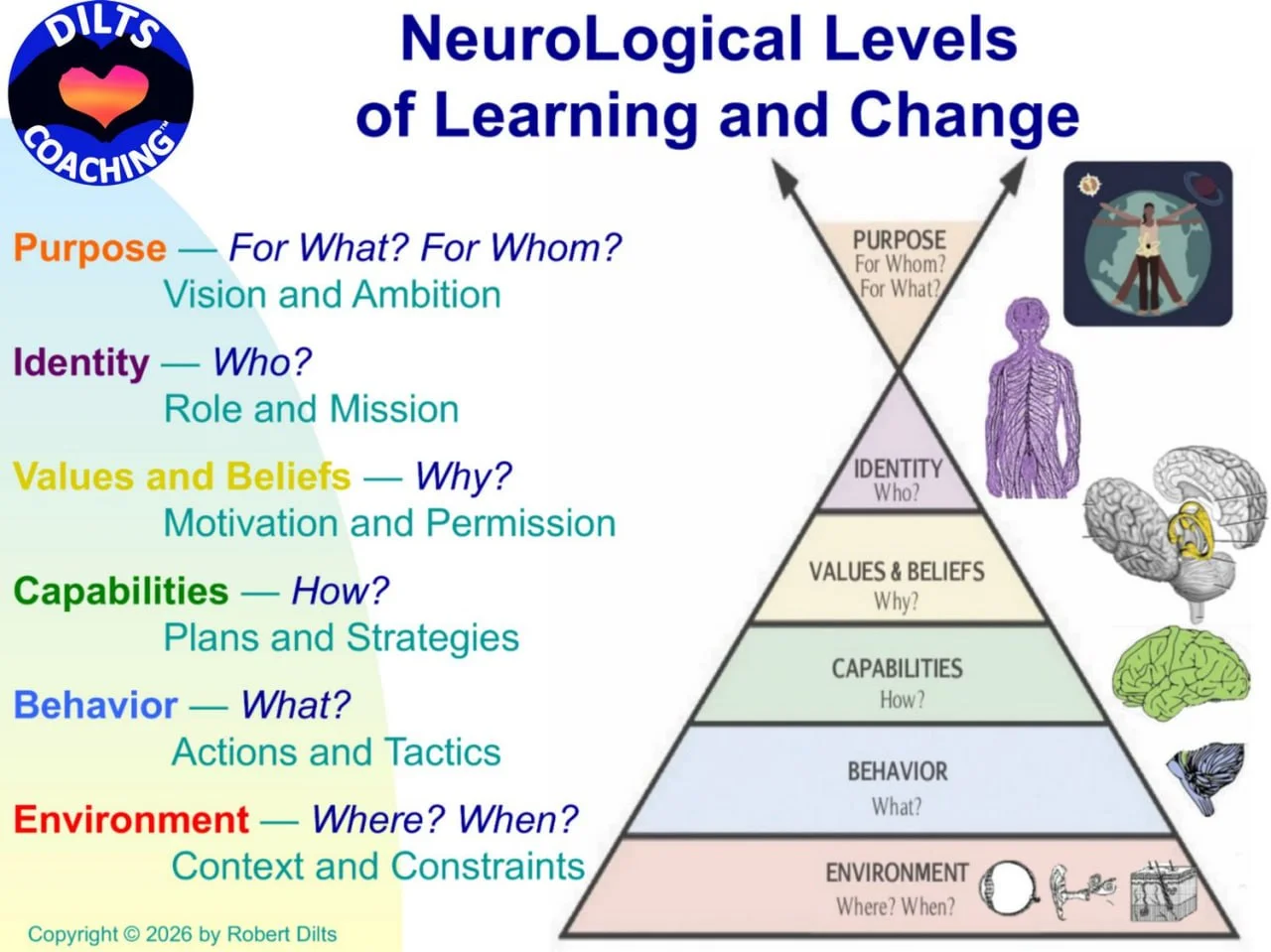 The six NeuroLogical Levels