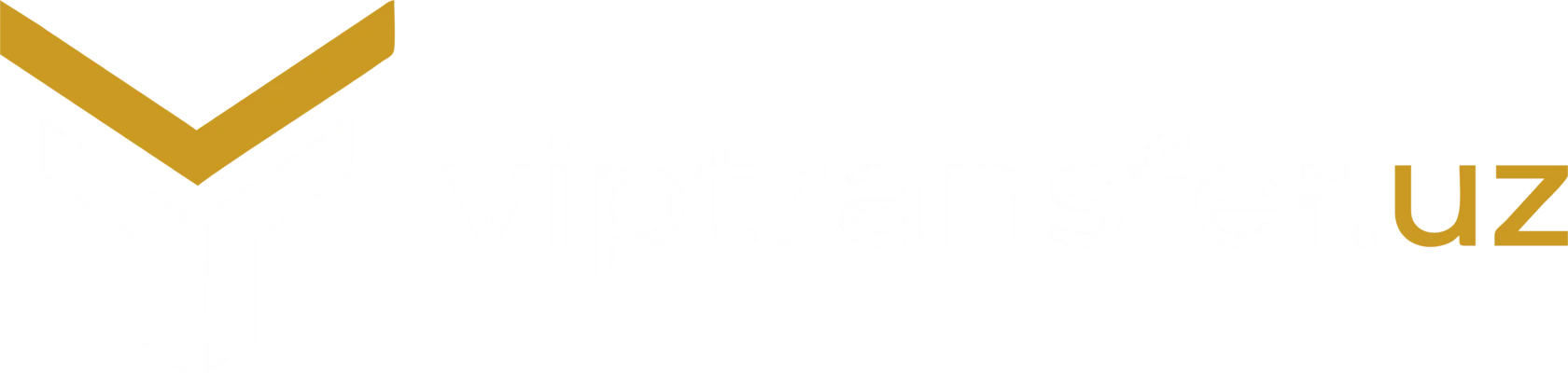 VIPTransfer.uz