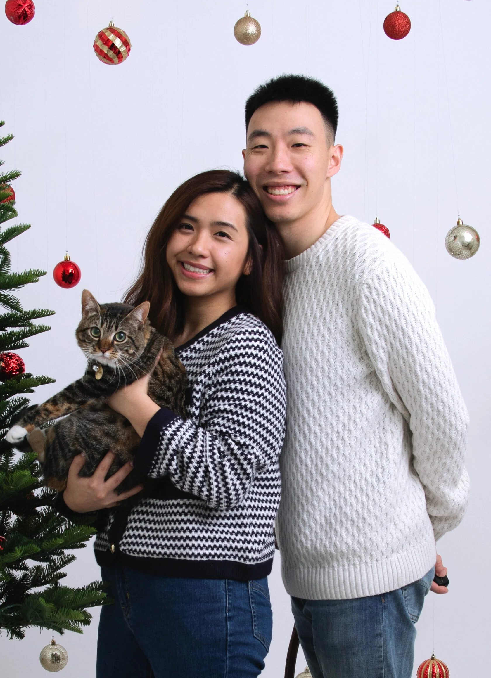 Pet photoshoot in San Francisco private studio