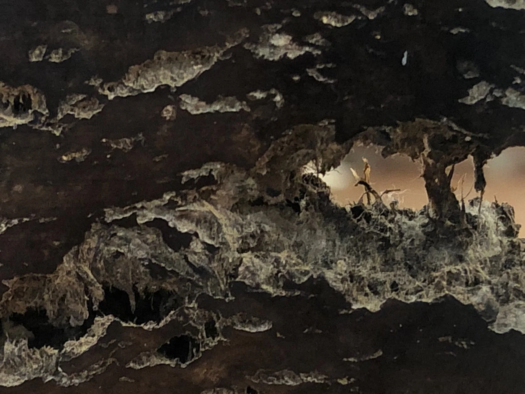 Sample A raw material, fiber detail