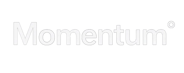 Momentum