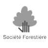 Société Forestière