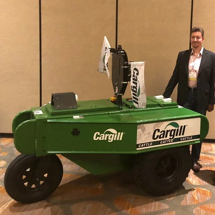 Cow-herding robot with cattle