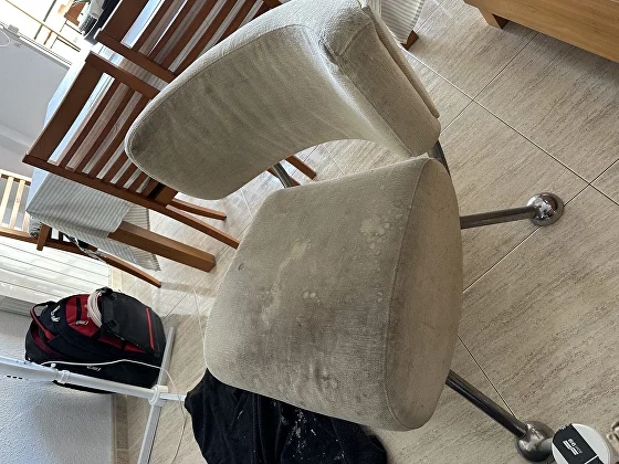 Upholstered chair with pet urine stain before cleaning in Paterna