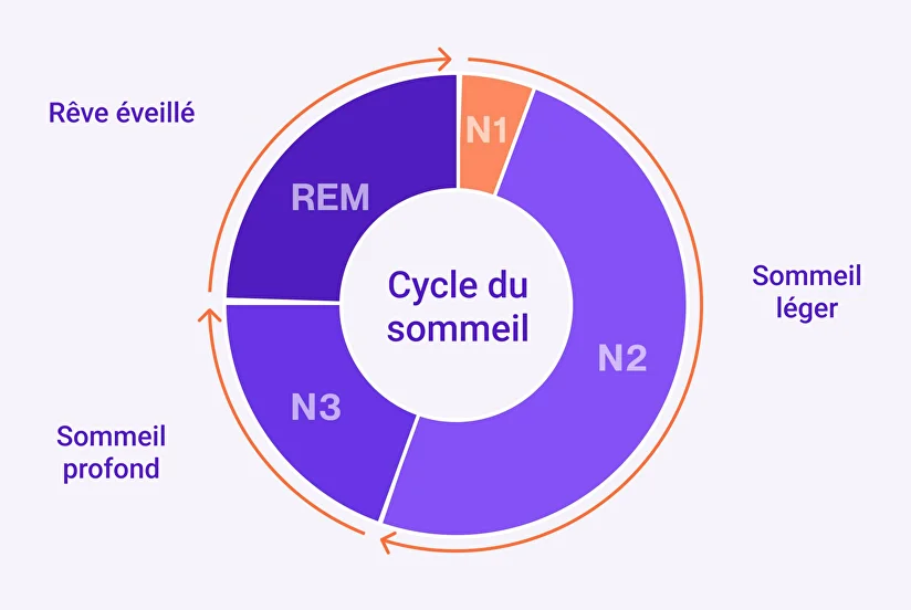 Exemple de cycle de sommeil sain
