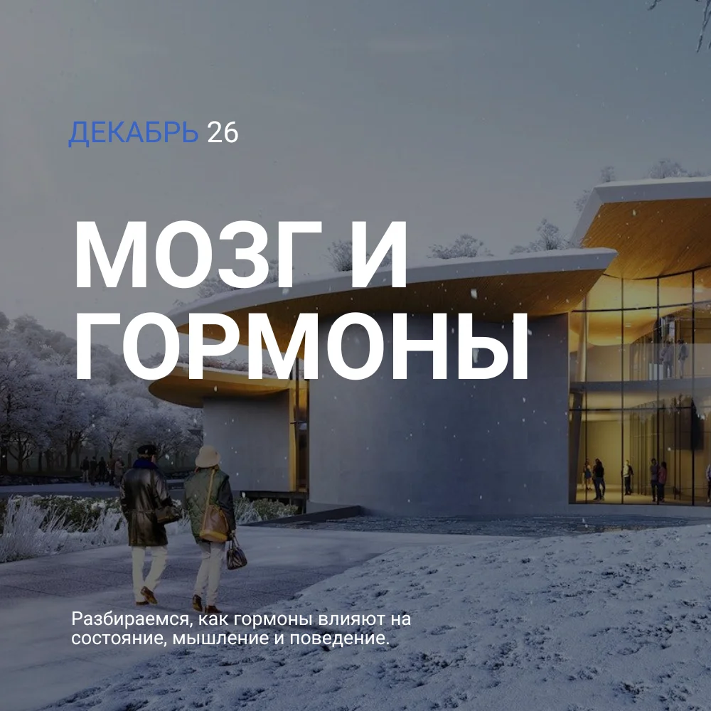 Декабрь — Мозг и гормоны