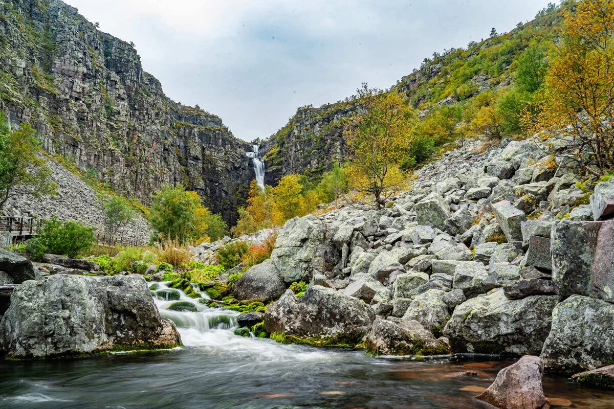 National Parks in Sweden: Best Parks to Visit