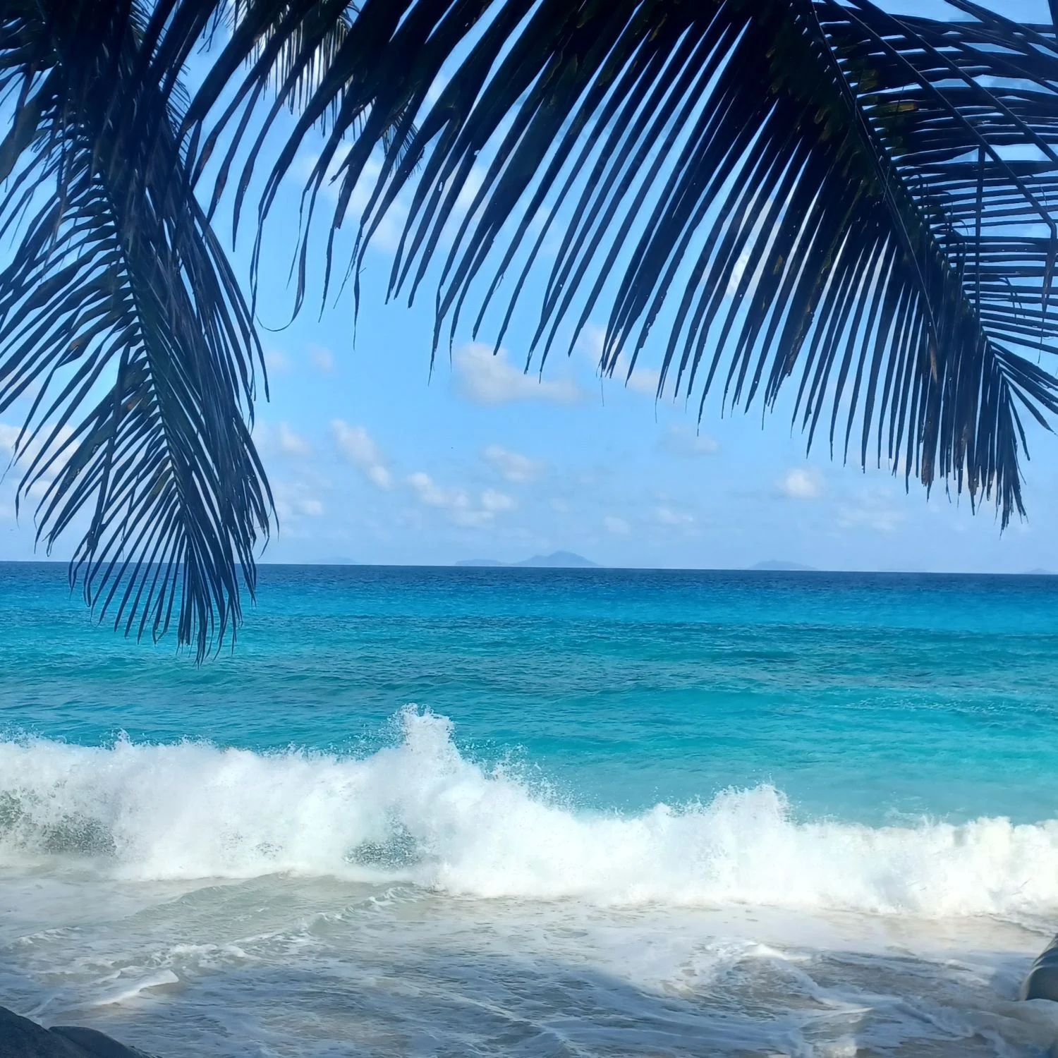 Remote tropical island in the Indian Ocean