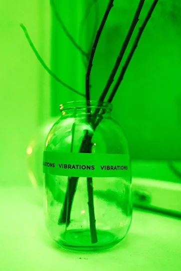 The Vibrations/New Vibrations/米Org. Vibrations New EN