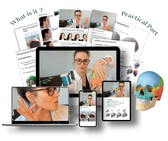 Skull Bone Resorption and Facial Aging Course