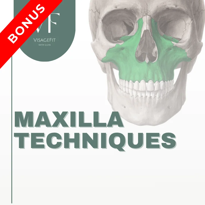 Bonus Maxilla Techniques course