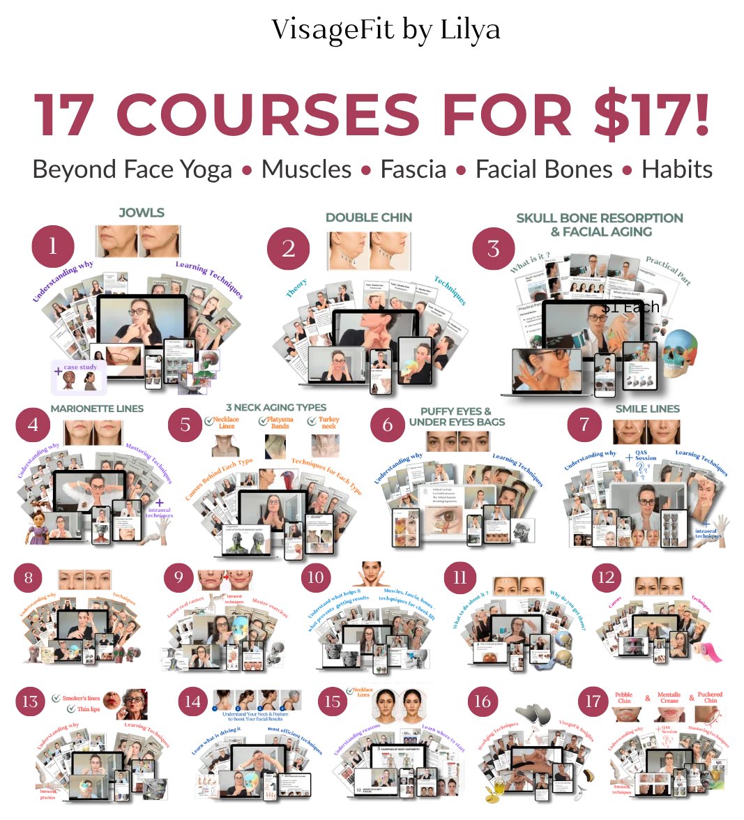 17 Courses for $17