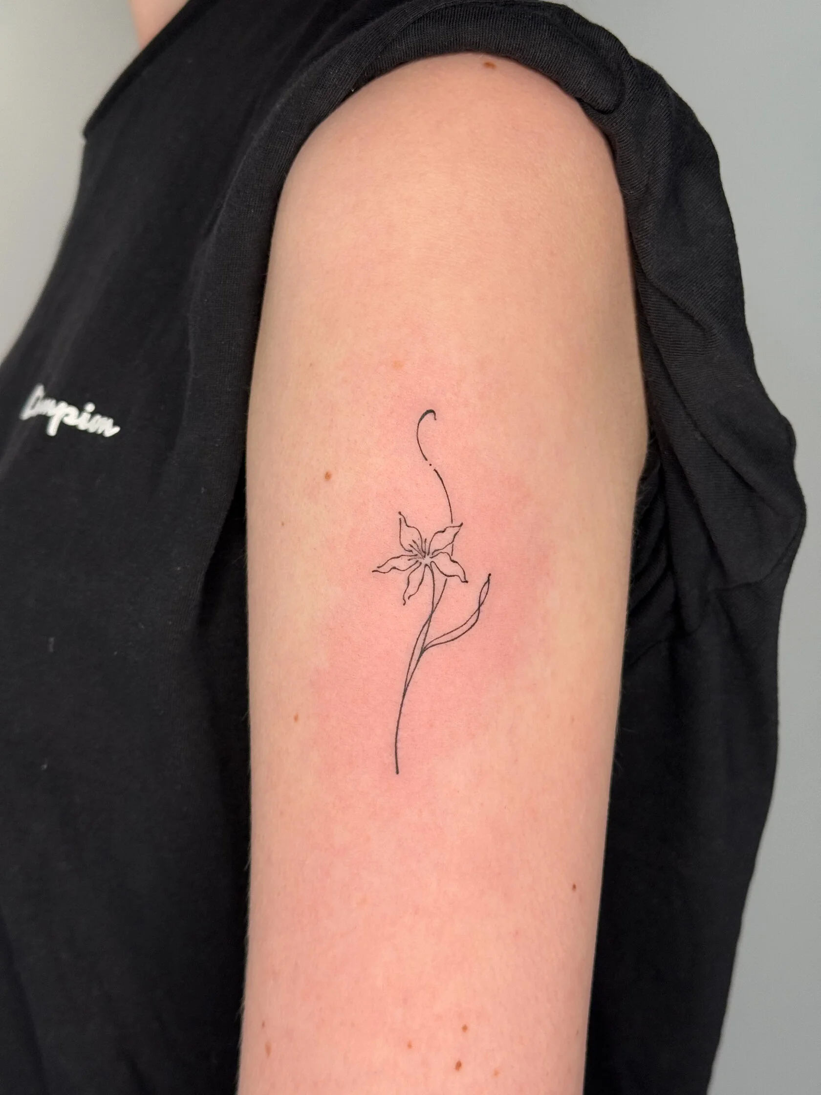 Botanisches Graphik-Tattoo von Daria – Arbeit 6