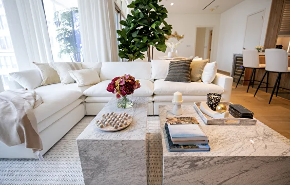 Luxury Sofa Setup