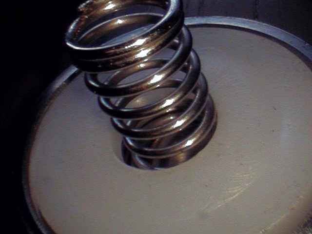 Rigid borescope view of a spring section