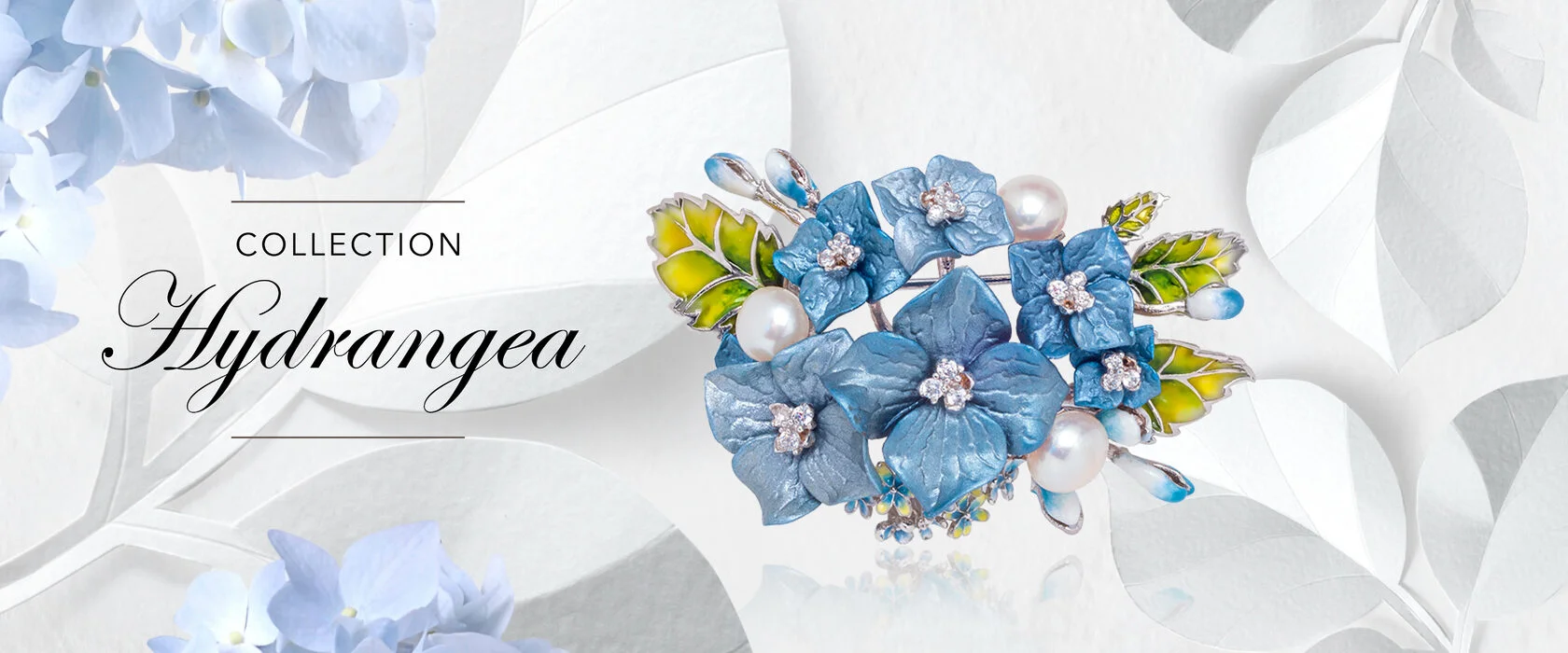 Hydrangea collection